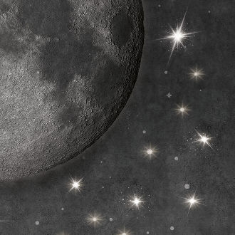 80017_Right