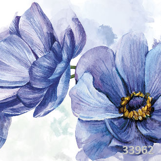 Blue anemones