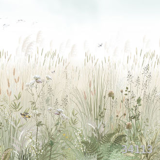 Morning field